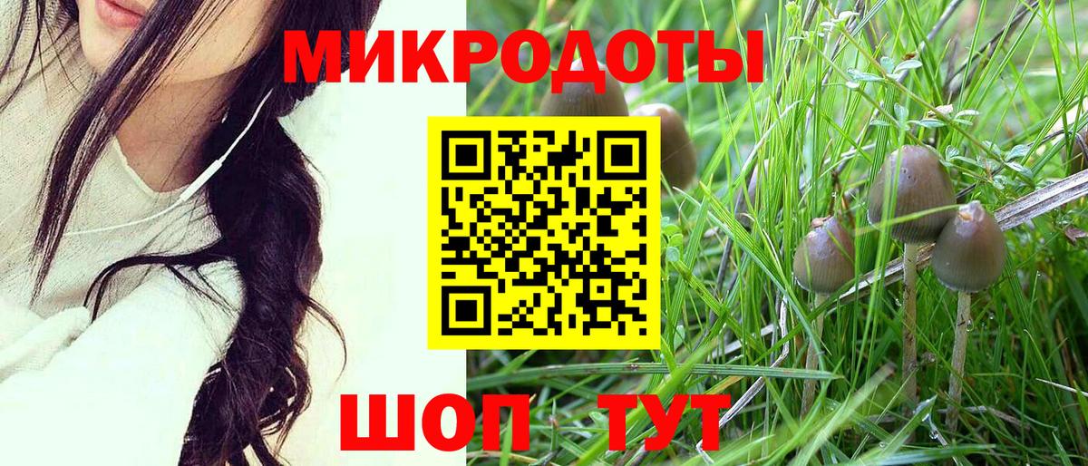 Галлюциногенные грибы прущие грибы Кашира