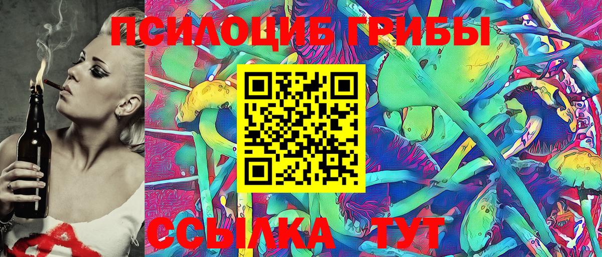 Псилоцибиновые грибы мицелий  Вход с VPN  Кашира 